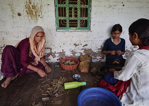 Women from small or landless farmer families engaged in bidi making.