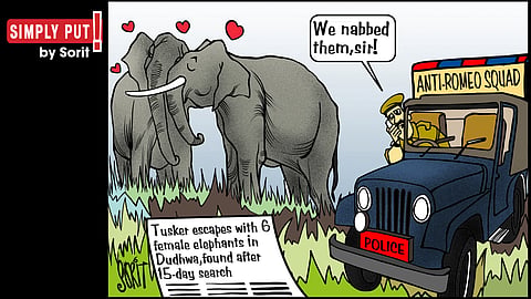 Simply Put: Tusker's wild escapades