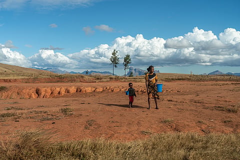 ‘At COP29, Africa should advocate for increased adaptation financing, stronger support for renewable energy projects’