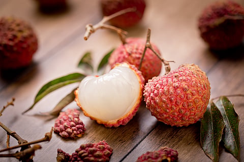 Commercial litchi production can alleviate agrarian distress, empower farmers in Bihar: Study 
