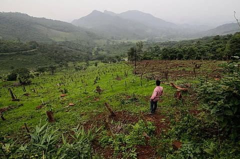A shifting cultivation system being used by Bonda tribes in Malkangiri district, Odisha.