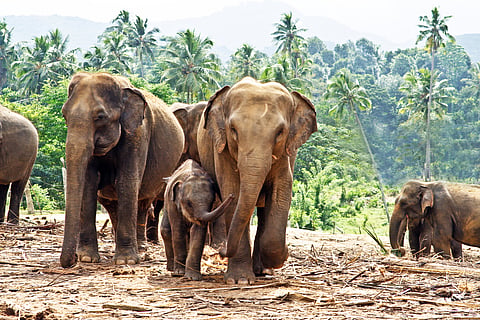 Madras HC to hear petition on demolition of 35 tourism resorts 