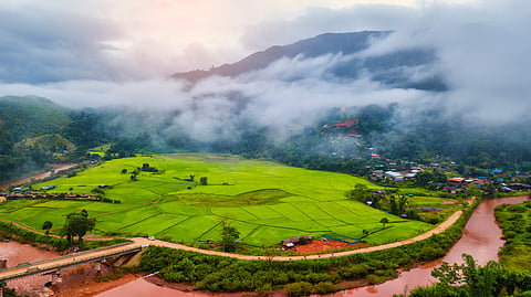 Changing rainfall patterns in Nagaland requires call for region-specific water management strategies 
