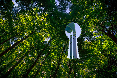 Greenhushing: What is it and why do companies do it?