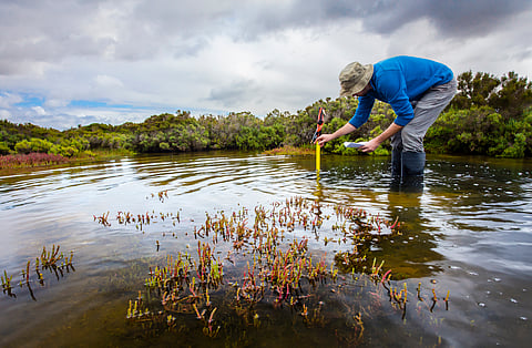 Only 10% of nations fulfil biodiversity commitments ahead of COP16, reveals NBSAP tracker