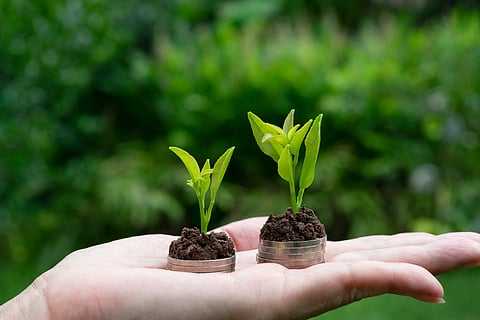 Voluntary biodiversity credit markets gain popularity