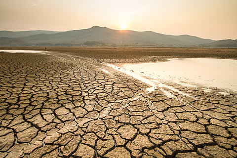 Decade since High-Level Meeting on national drought policy: Countries call for new global mechanism to address drought risk