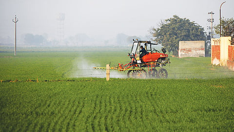In 2023-24, Punjab used 247.61 kg fertiliser per hectare, which is double 
the national average