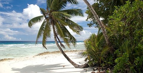 Chagos Archipelago sovereignty dispute being resolved is a step forward towards establishment of a Mauritian Marine Protected Area, says Vinitha Revi