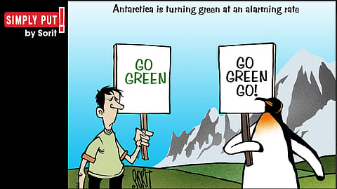 Simply Put: Antarctic greening