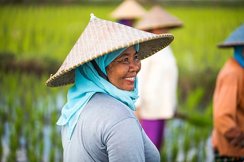 Climate policies becoming more gender-responsive climate policies: UN analysis
