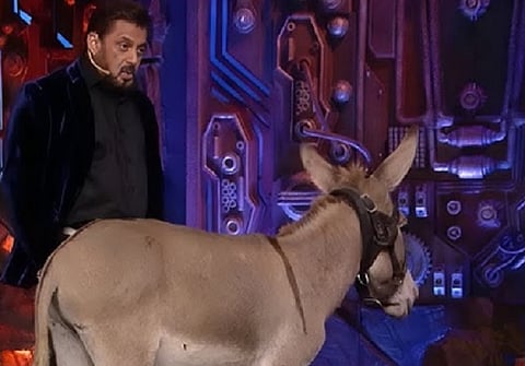 The Donkey, G K Chesterton and Salman Khan: Why strengthening negative stereotypes can be bad for an already imperiled gentle animal