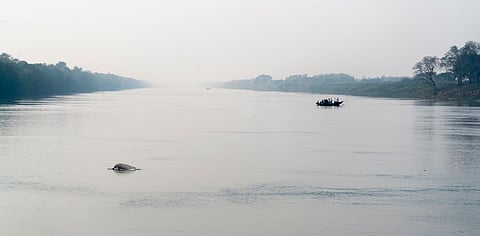 Ganges river dolphin and a boat carrying people crossing the Ganga