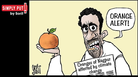 Simply Put: Imperilled Nagpur Orange 