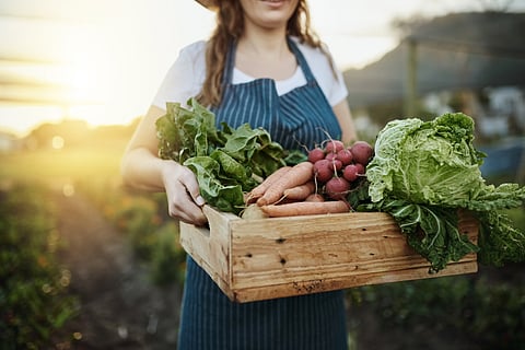 Why organic food can lead to a risk of gut disease
