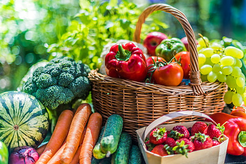 Variety of fresh organic vegetables and fruits in the garden. 