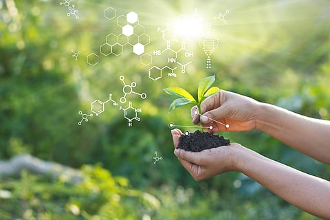  Plants with biochemistry structure on green background.