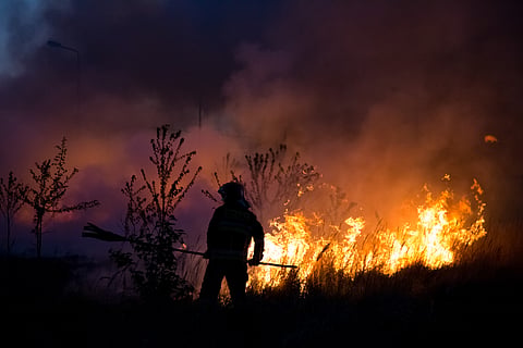 Global burnt area due to climate change likely increased by over 15%, shows attribution study 