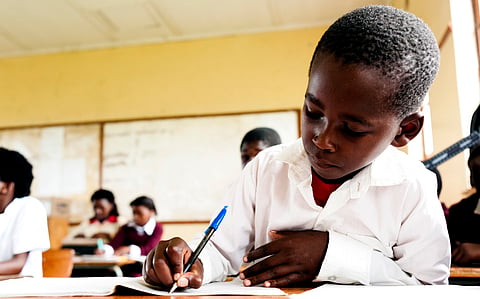 Education a key driving force for Africa’s prosperity: World Bank report