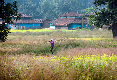 Why ‘Mission Govardhan' is needed to preserve traditional knowledge on natural resources, protect community forest land