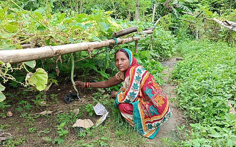 How to develop resilient livelihoods in ecologically fragile areas? A case study from Odisha’s Kendrapara district shows how 