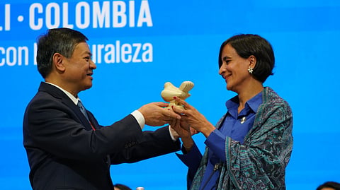 DTE at COP16: A colourful first day with DSI emerging as a major thread in most dialogues