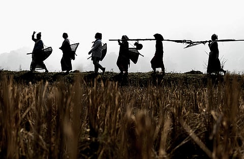 COP16: What do Indigenous Peoples and Local Communities expect?