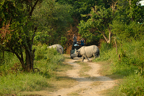 The Kaziranga-Karbi Anglong landscape represents a critical tipping point for Assam. 