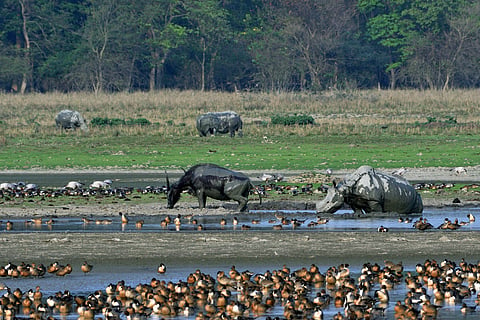 2024 Global Nature Conservation Index: India ranked 176 out of 180 countries, labelled among worst performers
