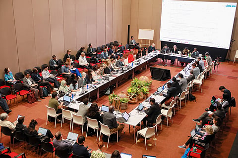 DTE at COP16: Slow progress on meeting the target on protected areas