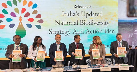 DTE at COP16: India’s NBSAP indicates country’s plans to tackle issues of biodiversity loss