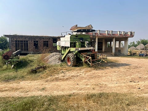 Illegal buildings upon the encroached pond in Rohar Jagir village continue to be used by villagers as cowsheds or storage rooms