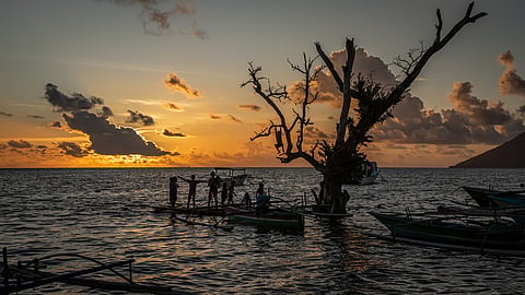 There are about 18,888 MPAs worldwide, covering about 8.33 per cent of the ocean (30 million square kilometres).