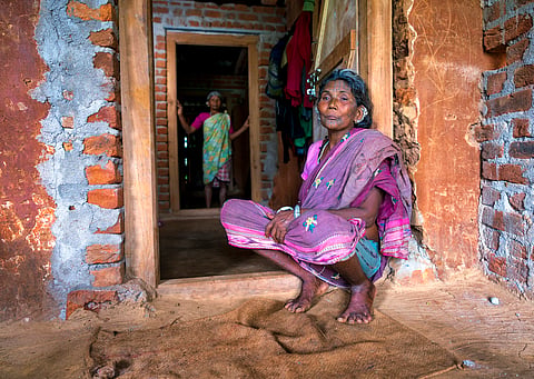 Tribal poverty & mango kernel tragedy: Call for sustainable change