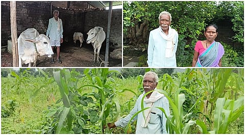 Maharashtra farmers are scrambling to adopt integrated farming practices for better profits 