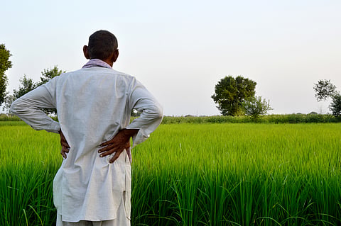 Indian farmers taxed $120 bn via export restrictions in 2023: OECD report 