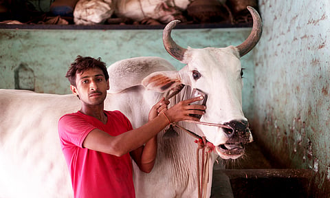 WAAW 2024: Policy, practice challenges in India’s One Health approach to preventing antimicrobial resistance
