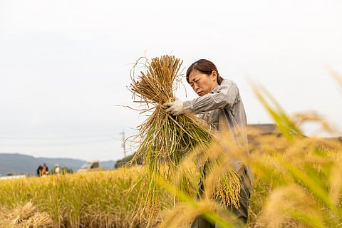 Net zero needs women