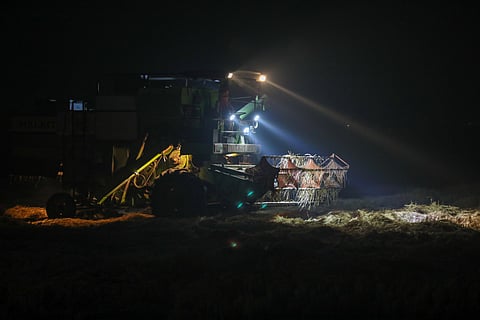 It's that time of the year when heavy machines swarm over paddy fields in Punjab