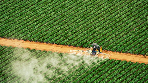 Addressing N₂O emissions key to meeting 1.5°C target, protecting human health, biodiversity: Report