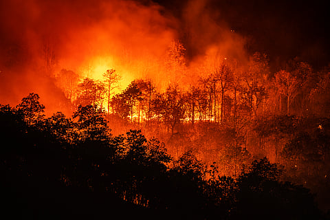 Climate change caused worst forest fires in Europe, the Middle East and Africa in 23 years
