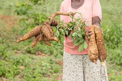 Food security in Africa: Managing water will be vital in a rapidly growing region