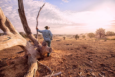 If current trends continue, restoring 1.5 billion hectares of land by 2030 will be necessary to achieve a land-degradation-neutral world