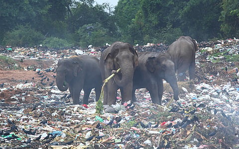 Global Plastic Profiles: How talks seek to phase out problematic and avoidable polymers 