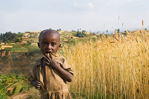 Dangerous pesticides are a problem in South Africa — pests and poor controls are to blame