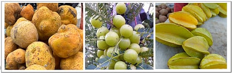 Fruits of change: Cultivating a new generation’s palate