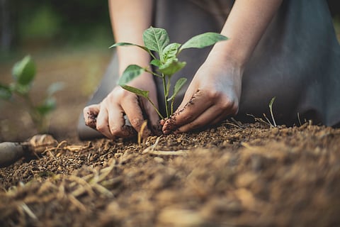 World Soil Day: It is time to shift focus on soil health as it sustains ecosystems, food security and climate resilience
