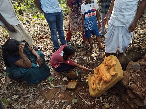 Preserving India’s sacred groves can help country achieve its conservation & climate goal: Experts