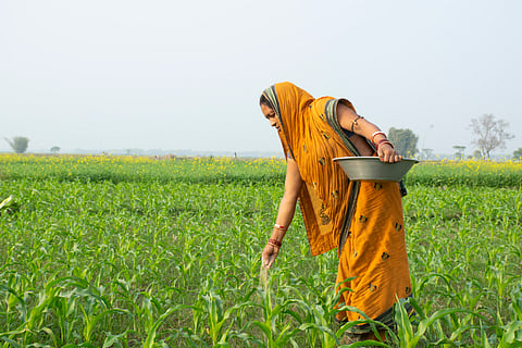 IPBES Nexus Report: Transforming food systems key to public health and sustainability