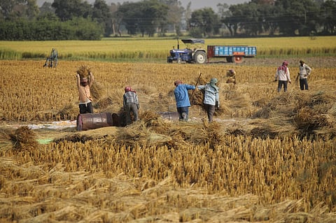 The study also found that 28% participating farmers discontinued these practices by the second year, raising questions about the permanence of emissions reductions